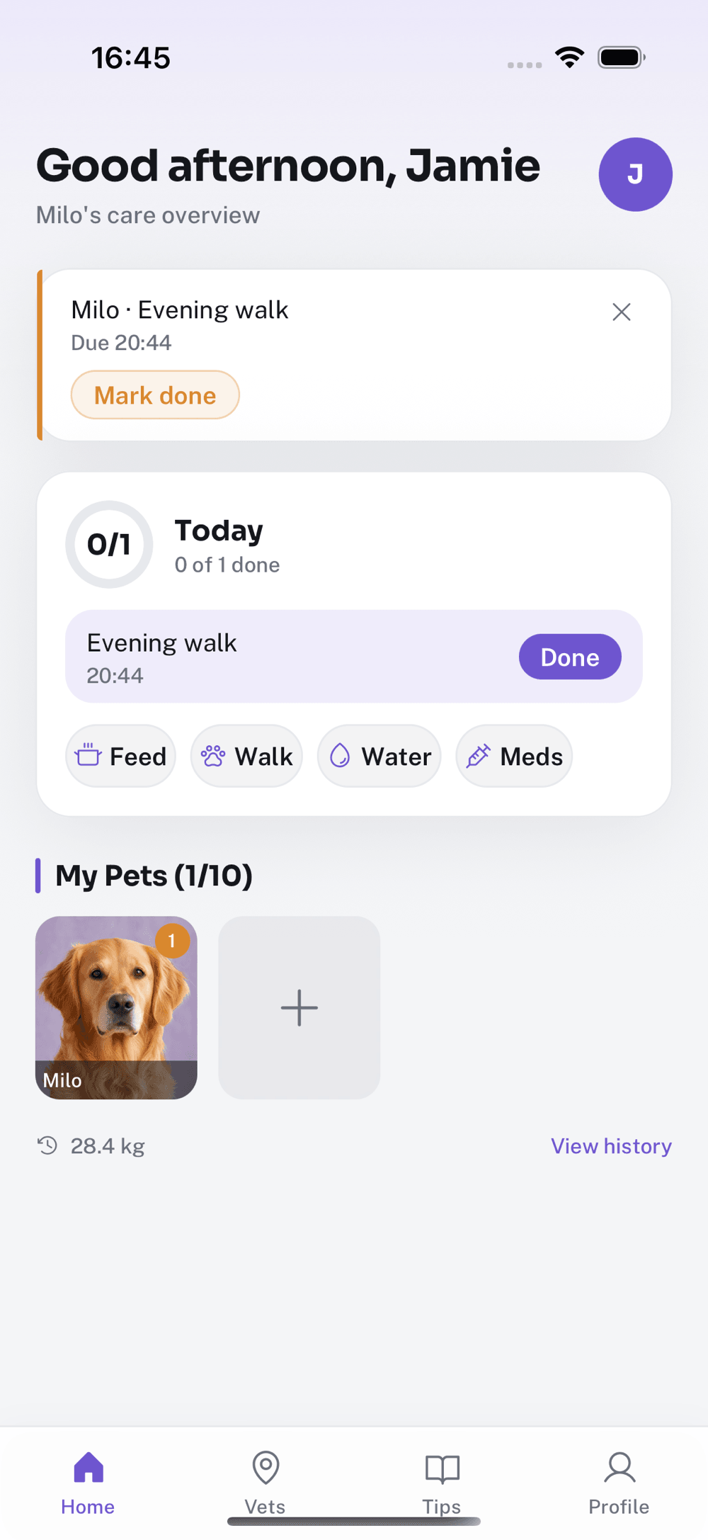 Pawey Home screen greeting Jamie with Milo’s evening walk and care overview